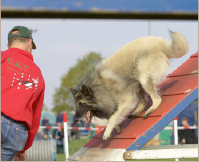 Lees artikelen en publicaties