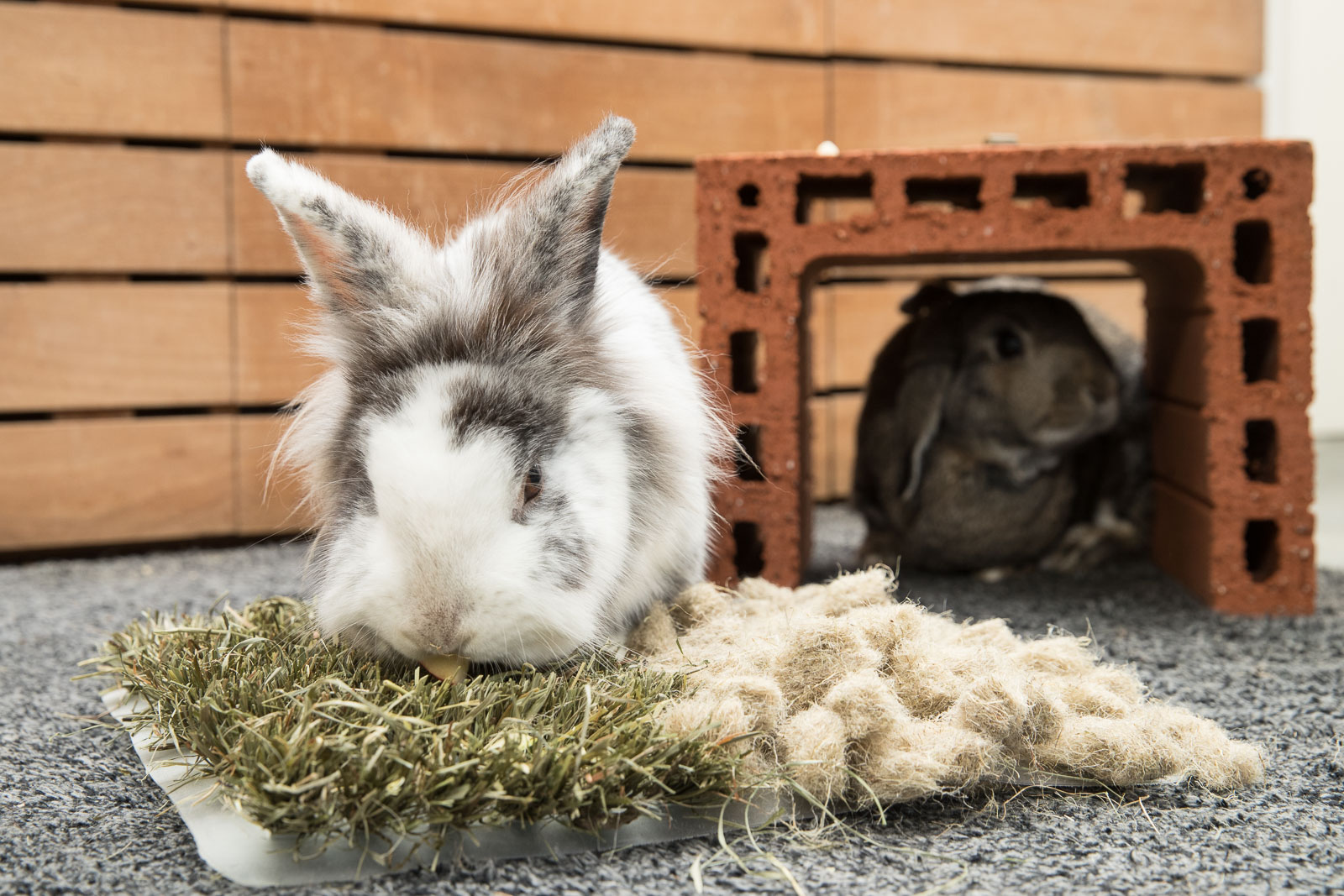 Mmillaut alique dis nihicie nimagni mintia de perio. Itas vellite lnere, non.