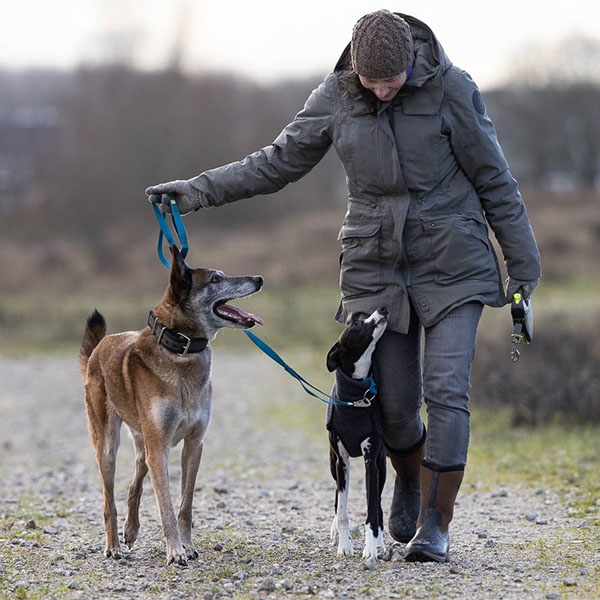 In het dagelijks leven word ik vergezeld door mijn partner, 4 honden, 2 katten en 4 konijnen.