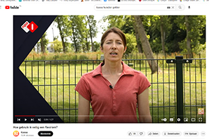 Geen katje om zonder handschoenen aan te pakken