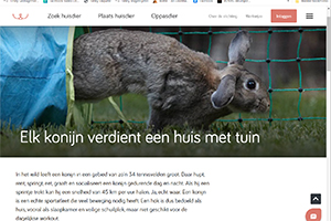 Wonderen van training