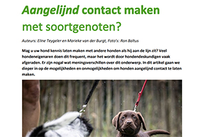 Geen katje om zonder handschoenen aan te pakken