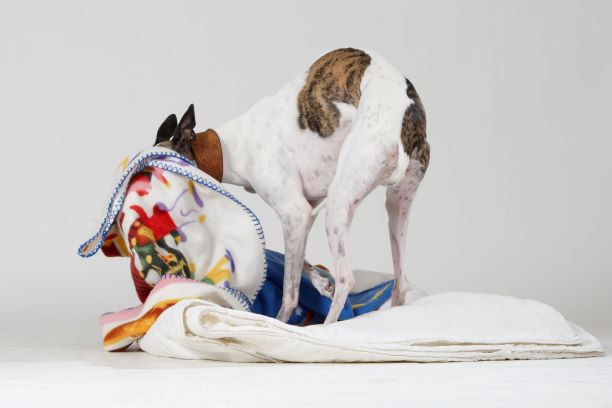 Mmillaut alique dis nihicie nimagni mintia de perio. Itas vellite lnere, non.