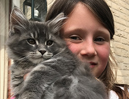 Socialisatie kittens