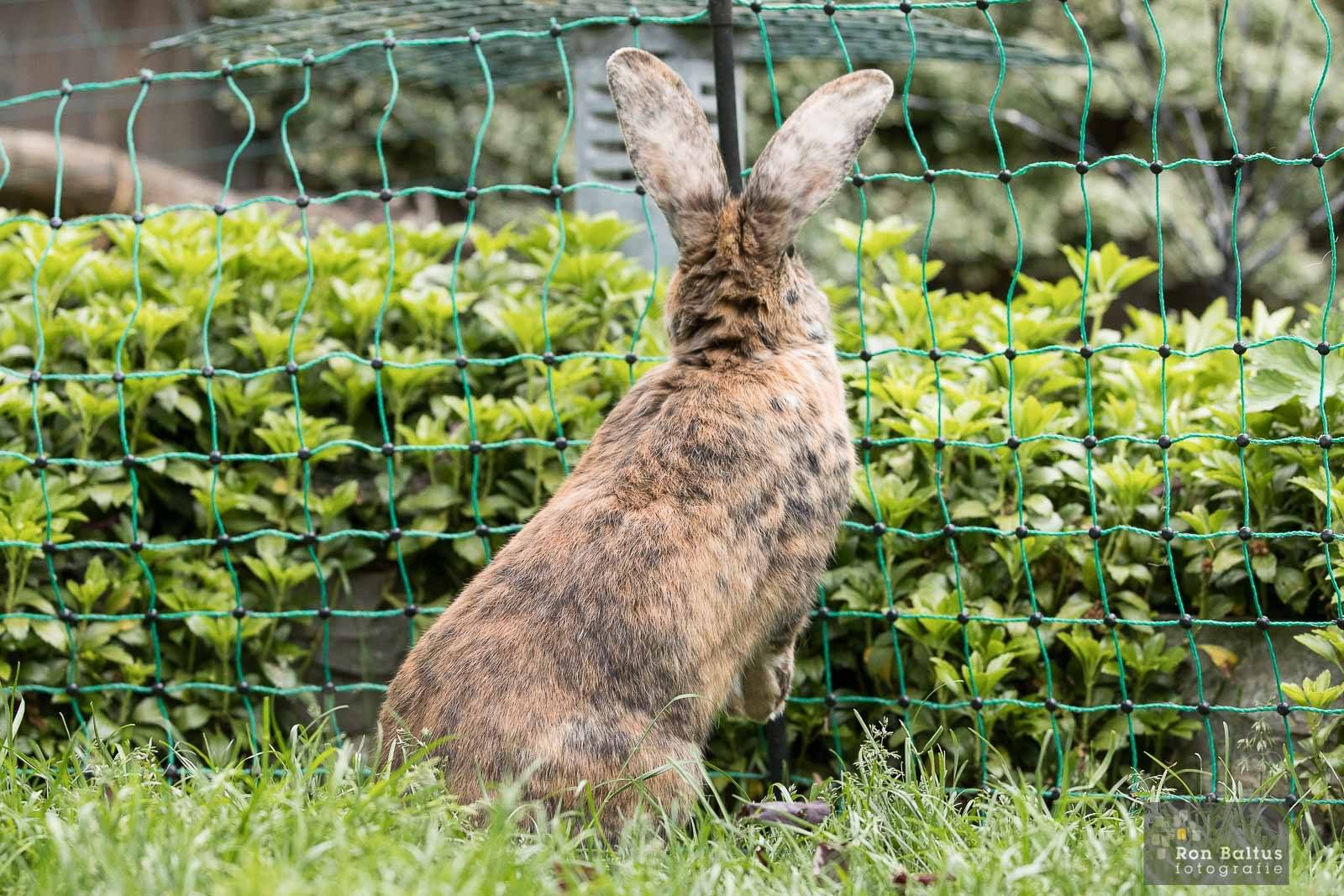 Mmillaut alique dis nihicie nimagni mintia de perio. Itas vellite lnere, non.
